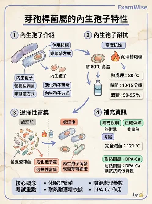 醫檢師 - 鏈球菌與其他革蘭氏陽性桿菌 - AI 圖文解析預覽