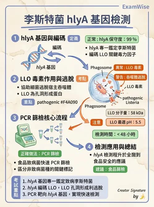 醫檢師 - 鏈球菌與其他革蘭氏陽性桿菌 - AI 圖文解析預覽