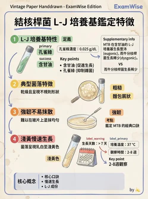 醫檢師 - 分枝桿菌 - AI 圖文解析預覽