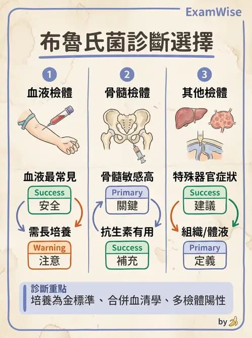 醫檢師 - 奈瑟菌與挑剔性革蘭氏陰性菌 - AI 圖文解析預覽