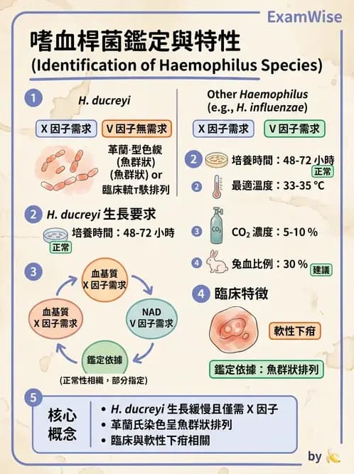 醫檢師 - 奈瑟菌與挑剔性革蘭氏陰性菌 - AI 圖文解析預覽
