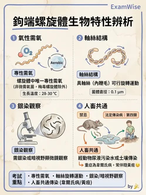 醫檢師 - 特殊病原體 - AI 圖文解析預覽