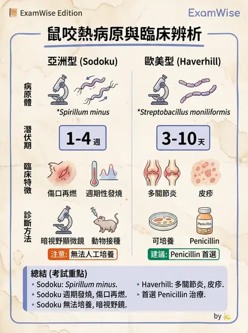 醫檢師 - 特殊病原體 - AI 圖文解析預覽