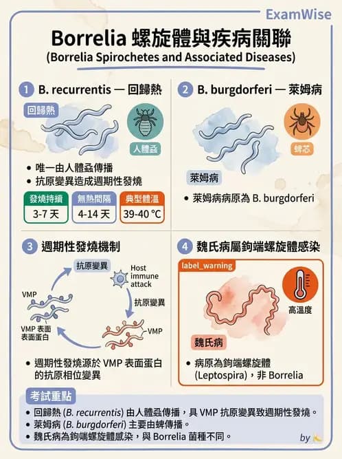 醫檢師 - 特殊病原體 - AI 圖文解析預覽