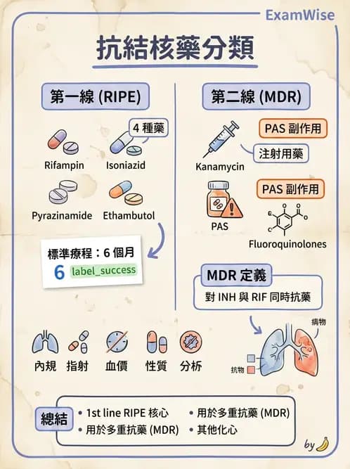 醫檢師 - 抗微生物製劑 - AI 圖文解析預覽