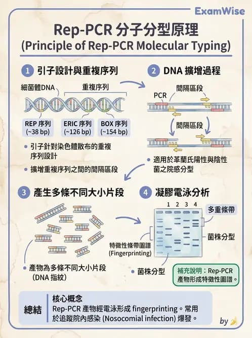 醫檢師 - 檢驗基礎技術 - AI 圖文解析預覽