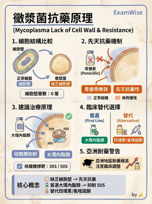 醫檢師 - 特殊病原體 - AI 圖文解析預覽