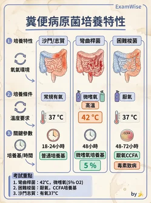 醫檢師 - 感染症與院內感染 - AI 圖文解析預覽