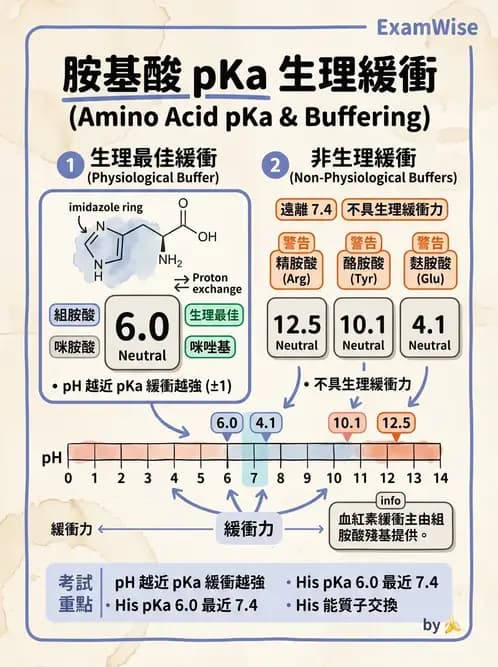 醫檢師 - 胺基酸代謝與先天性疾病 - AI 圖文解析預覽