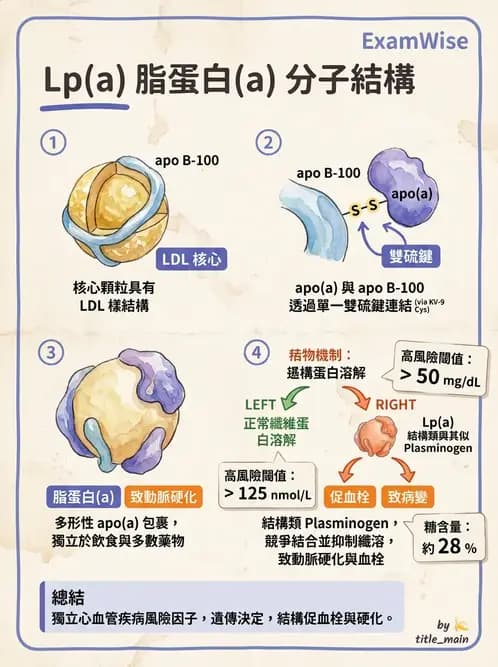 醫檢師 - 脂蛋白分類與臨床應用 - AI 圖文解析預覽