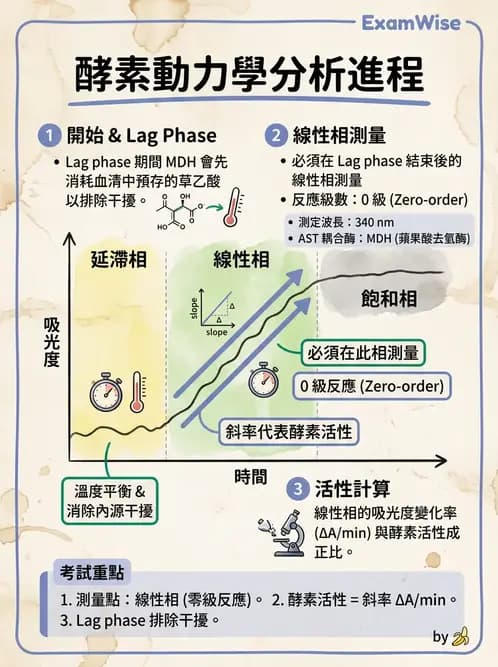 醫檢師 - 臨床酵素學基礎 - AI 圖文解析預覽