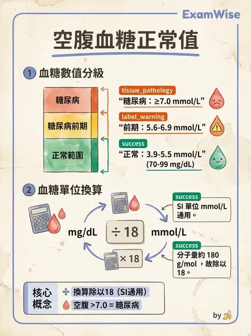 醫檢師 - 醣類代謝與糖尿病 - AI 圖文解析預覽
