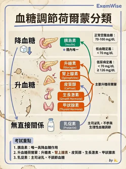 醫檢師 - 醣類代謝與糖尿病 - AI 圖文解析預覽