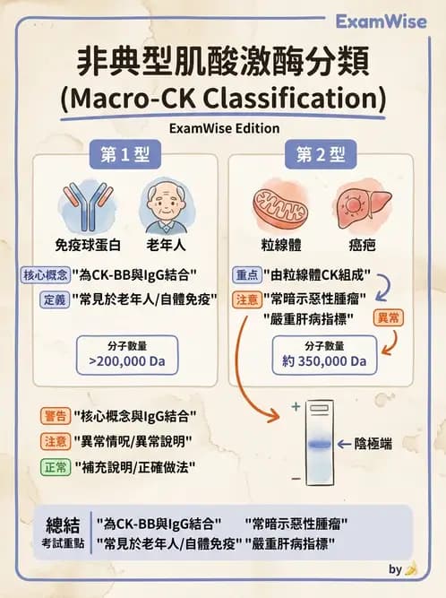 醫檢師 - 心肌標誌與心臟診斷 - AI 圖文解析預覽