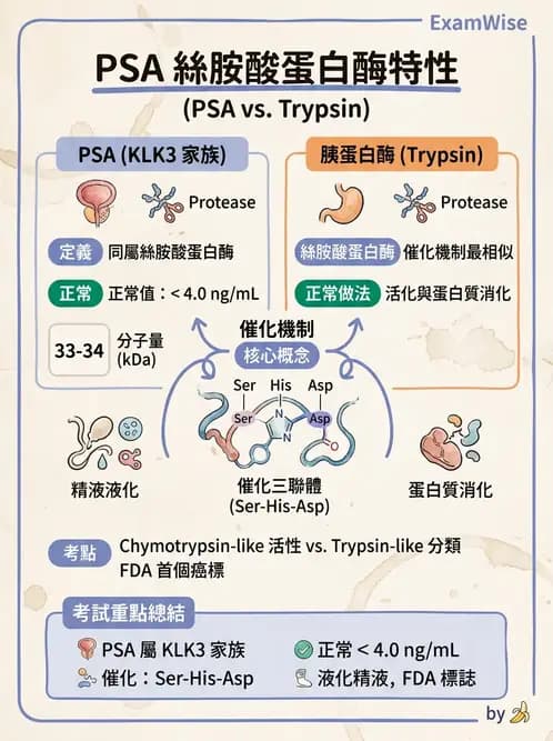 醫檢師 - 腫瘤標誌 - AI 圖文解析預覽
