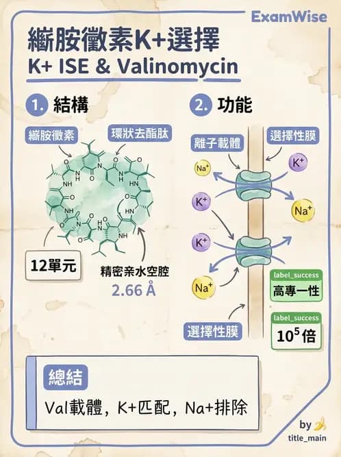 醫檢師 - 電解質與微量元素 - AI 圖文解析預覽