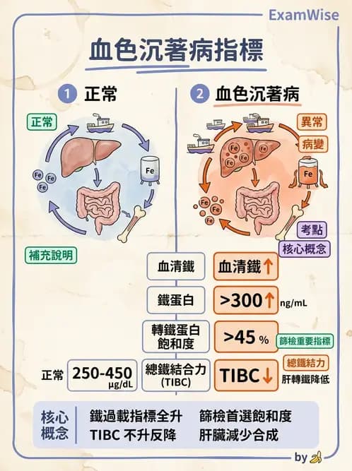 醫檢師 - 電解質與微量元素 - AI 圖文解析預覽
