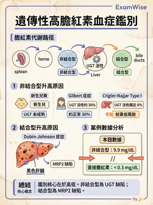 醫檢師 - 肝臟機能與胰臟酵素 - AI 圖文解析預覽