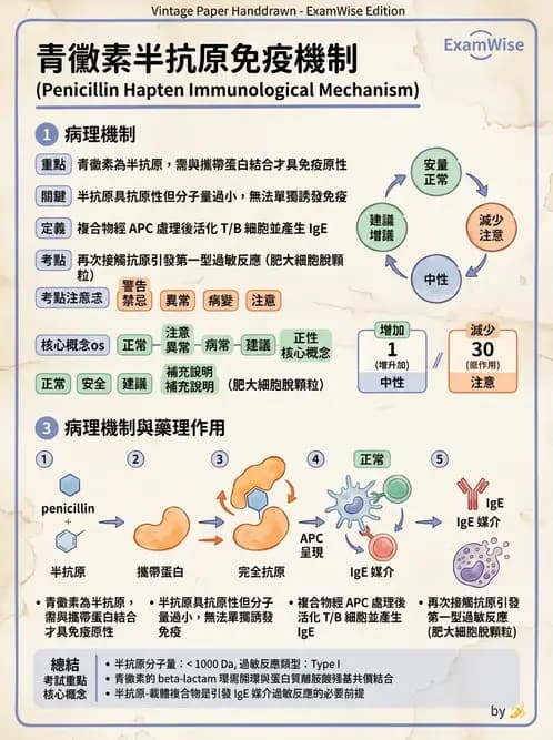 醫檢師 - 過敏反應及測試法 - AI 圖文解析預覽