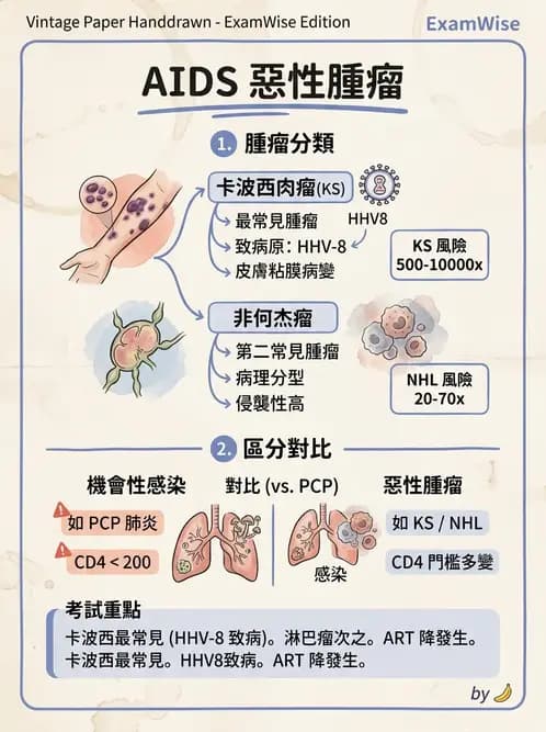 醫檢師 - 反轉錄病毒(HIV/HTLV) - AI 圖文解析預覽