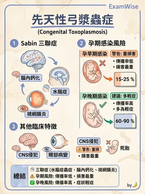醫檢師 - 急性發炎蛋白與微生物感染血清學 - AI 圖文解析預覽
