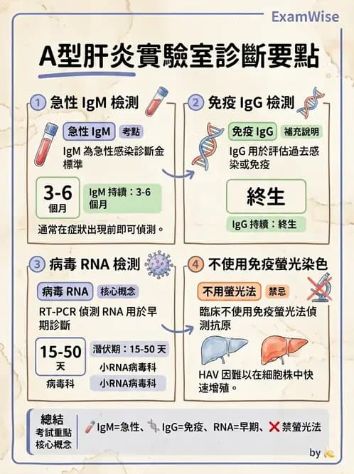 醫檢師 - 小RNA病毒科與腸道病毒 - AI 圖文解析預覽