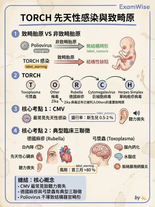 醫檢師 - 小RNA病毒科與腸道病毒 - AI 圖文解析預覽