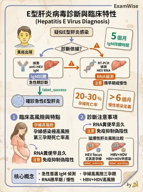 醫檢師 - 其他RNA病毒 - AI 圖文解析預覽