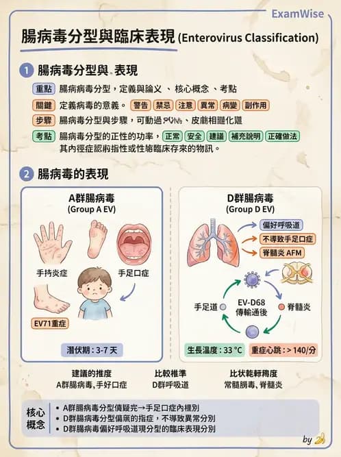 醫檢師 - 小RNA病毒科與腸道病毒 - AI 圖文解析預覽