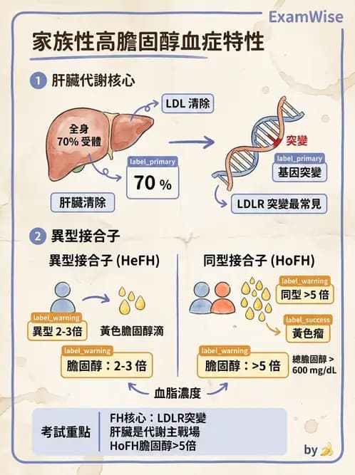 放射 - 遺傳疾病與小兒疾病 - AI 圖文解析預覽