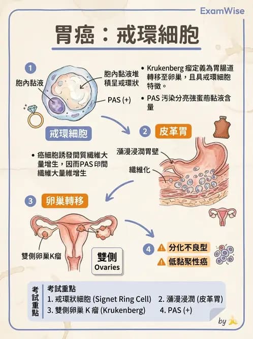 放射 - 口腔及腸胃道疾病 - AI 圖文解析預覽