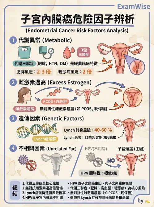 放射 - 生殖系統及乳房疾病 - AI 圖文解析預覽