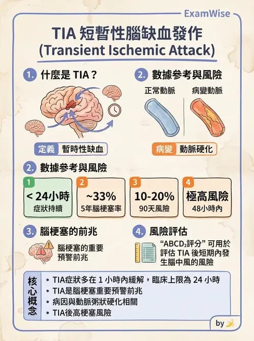 放射 - 神經系統疾病 - AI 圖文解析預覽