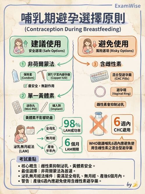 護理師 - 產後心理併發症與家庭計畫 - AI 圖文解析預覽