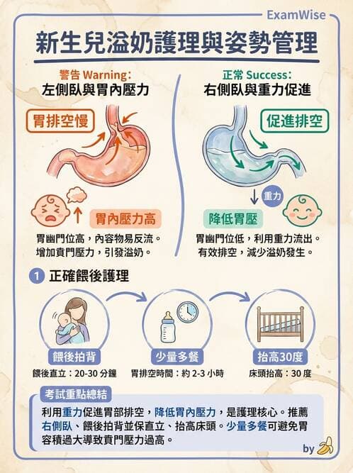 護理師 - 新生兒日常照護與篩檢 - AI 圖文解析預覽