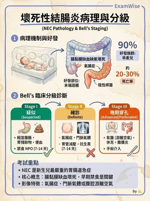 護理師 - 高危險新生兒 - AI 圖文解析預覽