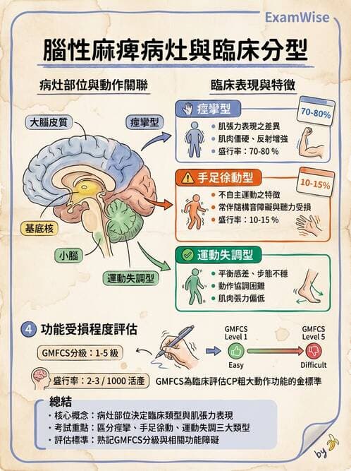 護理師 - 兒童神經肌肉骨骼疾病 - AI 圖文解析預覽