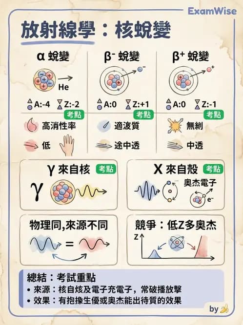 放射 - 放射性蛻變模式 - AI 圖文解析預覽
