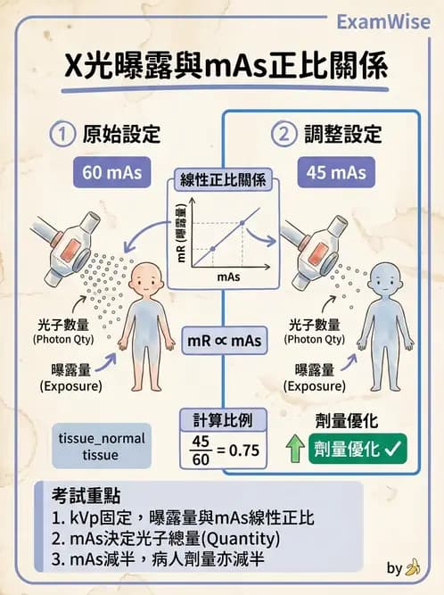 放射 - 曝光因子與影像品質 - AI 圖文解析預覽