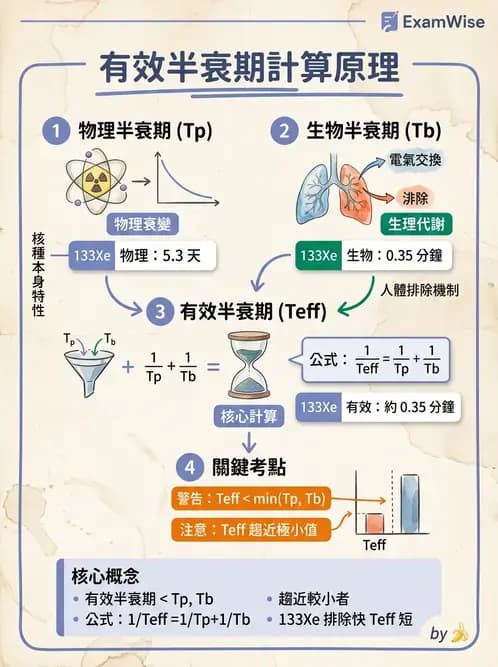 放射 - 放射性活度與衰變計算 - AI 圖文解析預覽