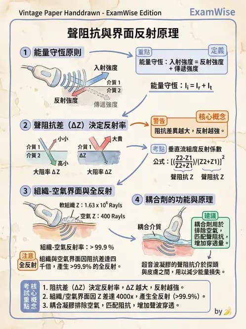 放射 - 超音波物理與換能器 - AI 圖文解析預覽