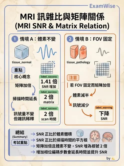 放射 - 空間編碼與影像品質 - AI 圖文解析預覽
