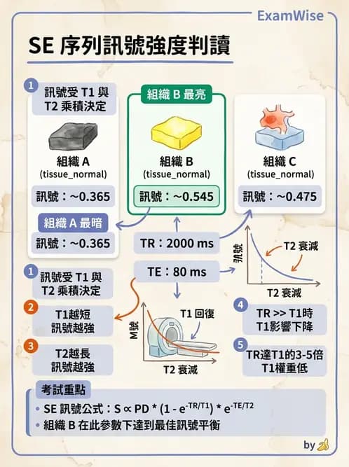 放射 - 脈衝序列與影像對比 - AI 圖文解析預覽