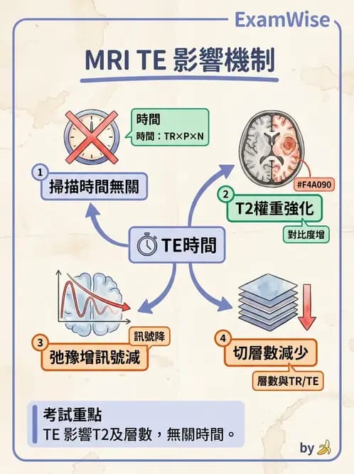 放射 - 脈衝序列與影像對比 - AI 圖文解析預覽