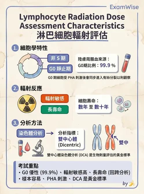 放射 - DNA損傷修復與細胞效應 - AI 圖文解析預覽