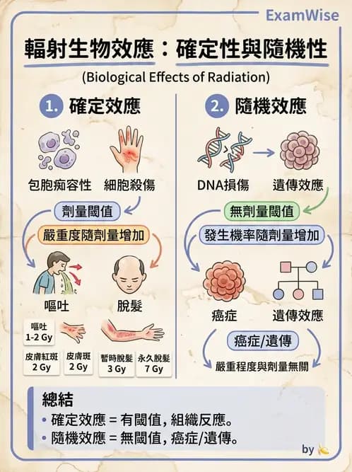 放射 - 全身性輻射效應 - AI 圖文解析預覽