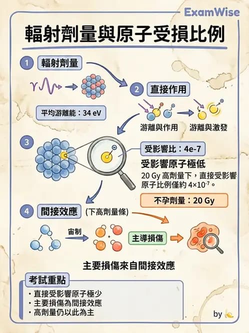 放射 - 輻射物理生物基礎 - AI 圖文解析預覽