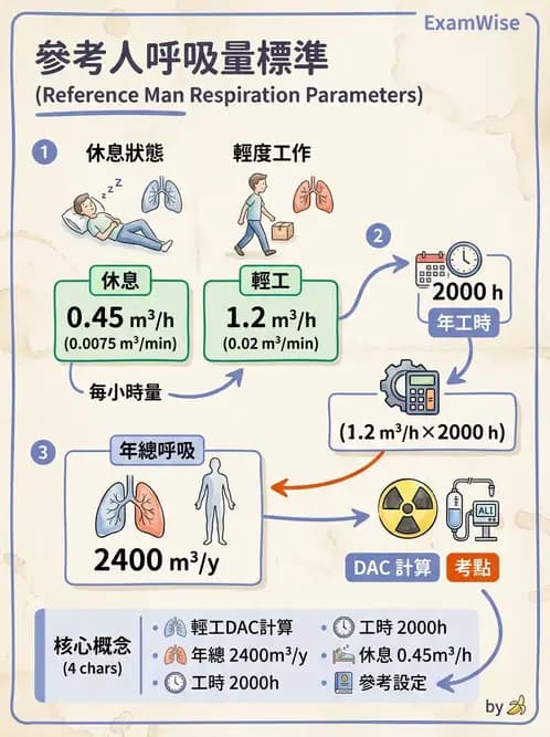 放射 - 劑量標準與防護原則 - AI 圖文解析預覽