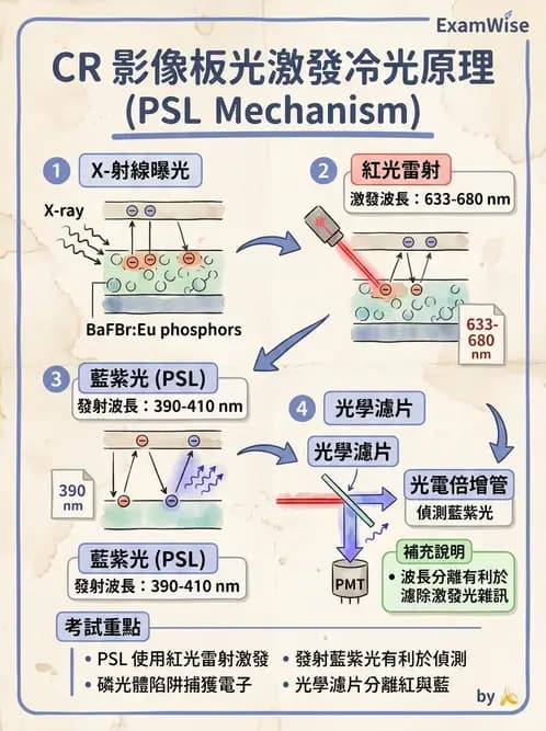 放射 - 電腦放射攝影(CR)原理與應用 - AI 圖文解析預覽