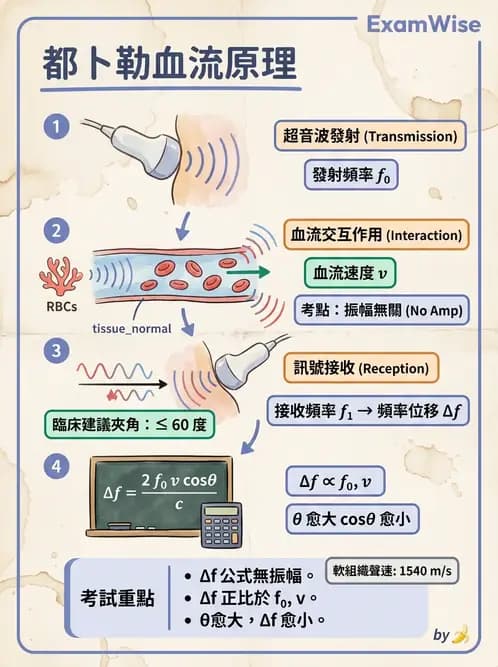放射 - 都普勒超音波 - AI 圖文解析預覽